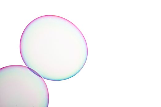 Group of soap bubbles on a white background