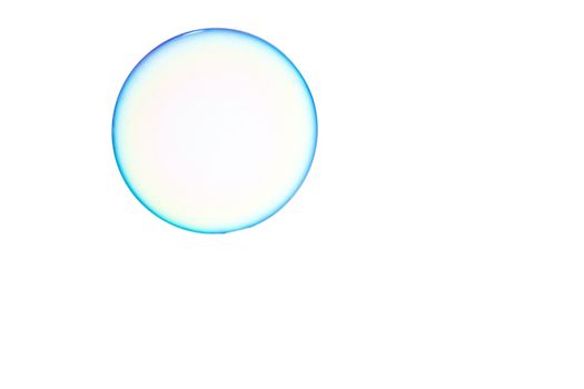 One soap bubble on a white background