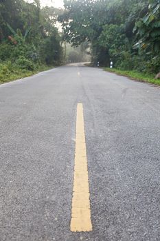 road aimed at up the mountain. Sides of the tree with a wet piece.