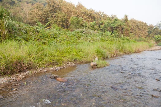 River that flows down from the forest. Through streams with small stones in the river.