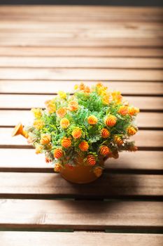 Vase flower pot. Placed on a table made of wood inside the house.