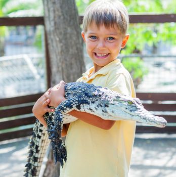 Little boy hold real crocodile on crocodile farm