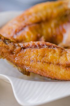 close up fish dish - deep fried fish