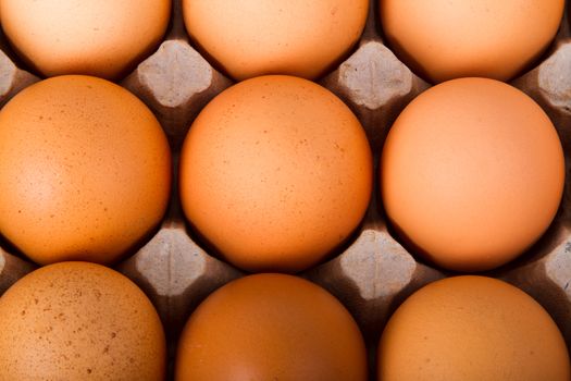 Brown eggs in a carton. Isolated on a white background