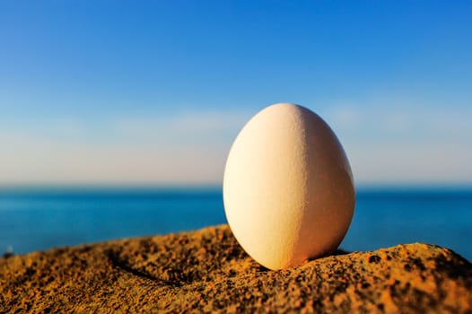 Close-up of an egg on the seashore