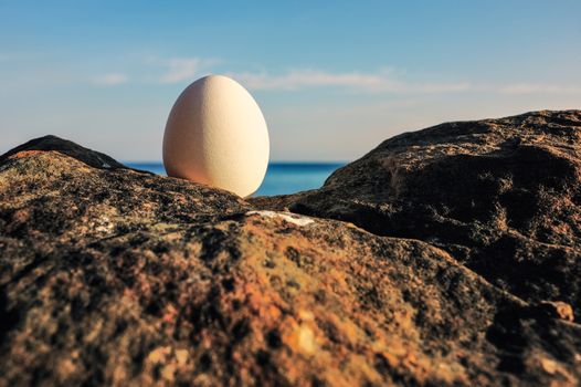Hen's egg between of the boulders on the coast