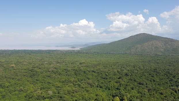 Nechisar National Park with Lake Chamo, Ethiopia, Africa