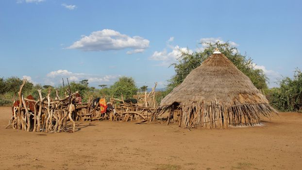 Traditional houses of Hamer people, Ethiopia, Africa