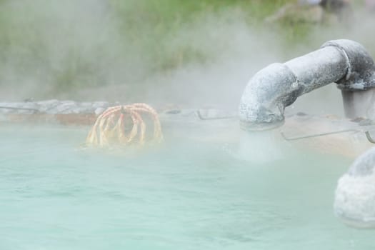 water from the springs. Chit connected by springs. Took to the water for tourists