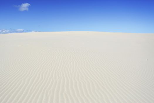 Miles and Miles of sand dunes to traverse at Dark Point to reach the ocean.  No 4wd allowed as thie area is a significant aboriginal meeting place and the shifting sands turn up many aboriginal artifacts of the Worimi people
