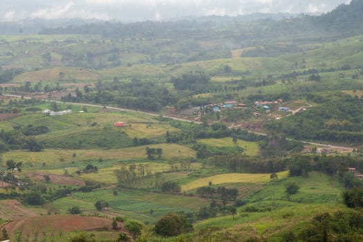 Agricultural areas in the mountains. Zoning, agricultural plantations on forest land from the villagers.