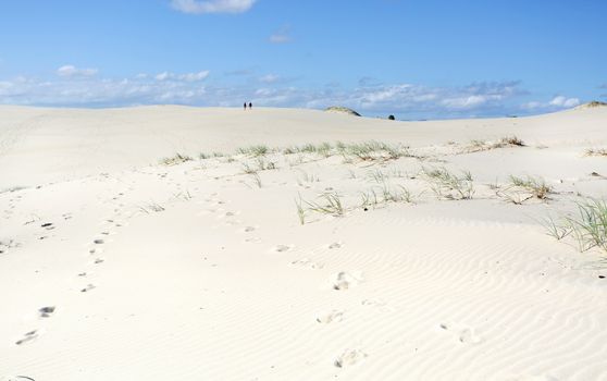 Miles and Miles of sand dunes to traverse at Dark Point to reach the ocean.  No 4wd allowed as thie area is a significant aboriginal meeting place and the shifting sands turn up many aboriginal artifacts of the Worimi people.  Two people walking in the far distant dunes