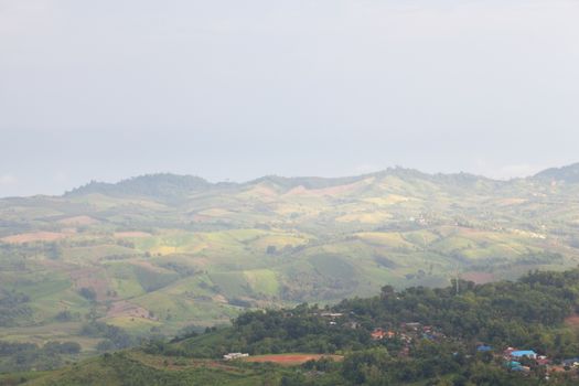 Agricultural areas in the mountains. Zoning, agricultural plantations on forest land from the villagers.