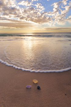 Focus to shells on the beach at Wanda as a wave surges towards them.