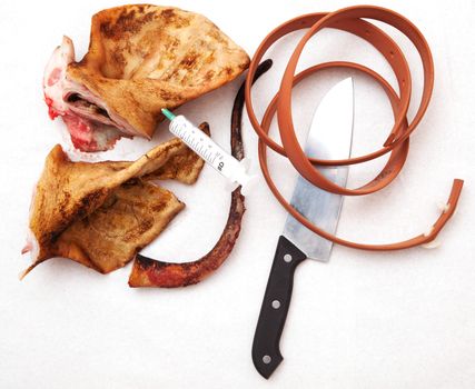 pork ears with knife and blood white background. Concept idea