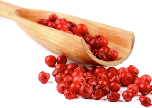 Wooden Spoon with Dry Pink and Red Peppercorns closeup on white background. Focus on Foreground