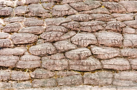 wall background