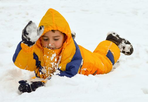 Playing in the snow
Cute little boy playing in the snow