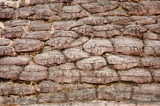 wall background