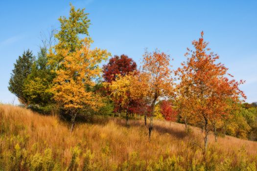 Colorful scenic Landscape in High Dynamic Range in soft focus