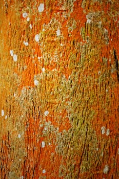 wall background