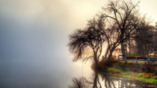 HDR landscape of a mystic foggy scene