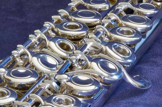 Two flutes on a blue blackground
