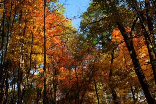 Colorful scenic Landscape in High Dynamic Range in soft focus