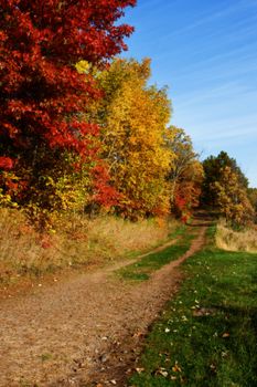 Colorful scenic Landscape in High Dynamic Range in soft focus