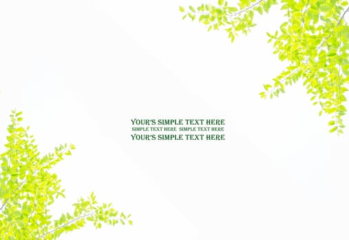 wall background