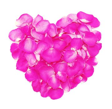 Petals of pink roses in shape of heart  