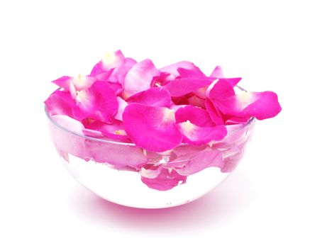 Glass cap filled with petals of pink roses and water