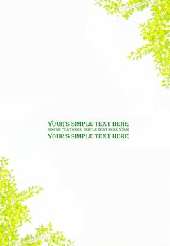 wall background