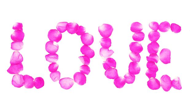 Letters LOVE made of petals of pink roses on white, isolated