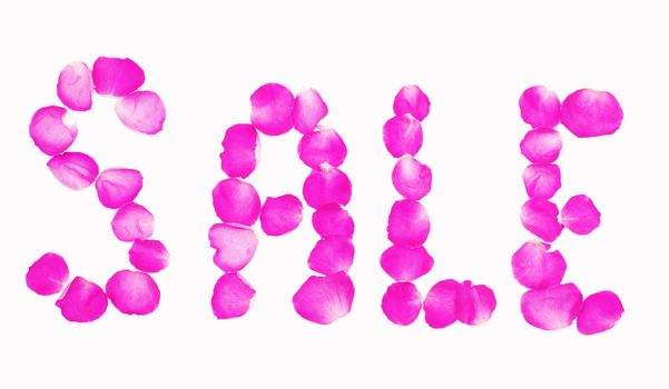 Letters SALE made of petals of pink roses on white, isolated 