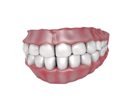 3d illustration of human teeth with gums