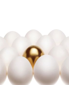 one gold egg lays among common white eggs