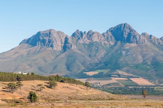 The Helderberg (clear mountain) with vineyards on its slopes near Somerset West in the Western Cape Province of South Africa 
