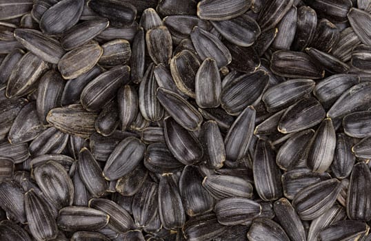 sunflower seeds background