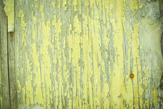 wooden old rough natural yellow texture in studio