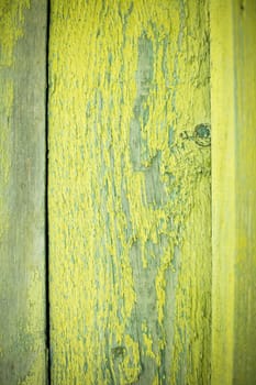wooden old rough natural yellow texture in studio
