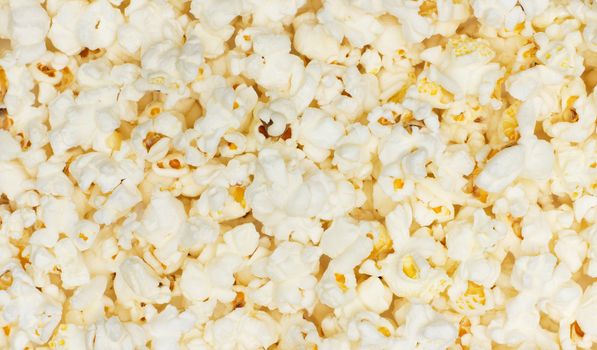 Salted popcorn grains on the white background