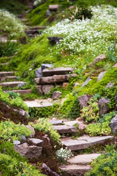 Stony stairs in the green blooming garden.