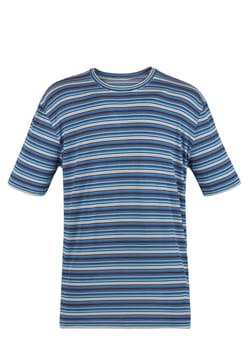 blue striped t-shirt