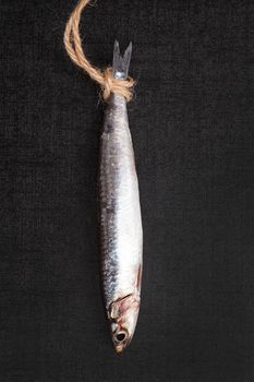 Fresh sardine fish hanging on lace against black background. Culinary seafood eating. 