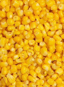 Canned corn background or texture