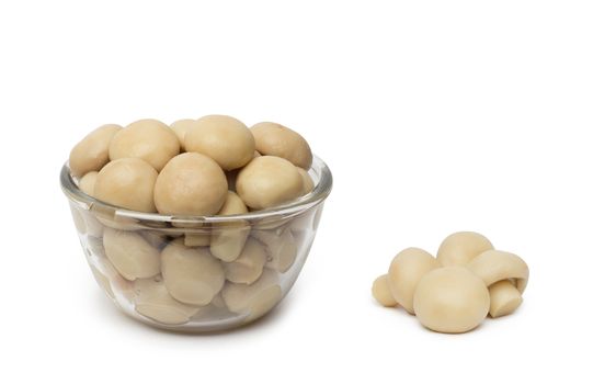 small dish of tasty canned sliced mushrooms.