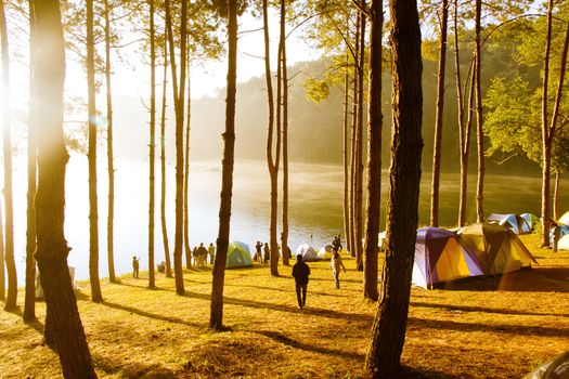 Pang Tong Under Royal Forest Park ( Pang ung ) at Mae Hong Son Province,Thailand.  Pang Ung is a popular place to stay in a camping in the winter.