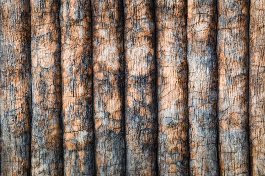 timber or wooden planks wall, pattern texture as background