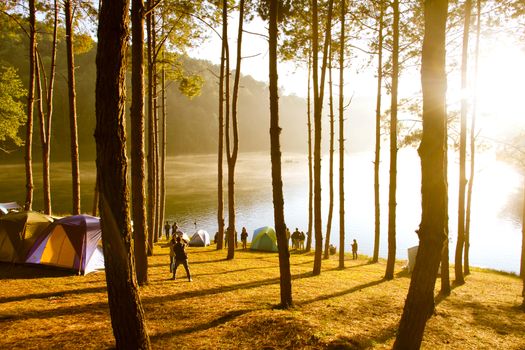Pang Tong Under Royal Forest Park ( Pang ung ) at Mae Hong Son Province,Thailand.  Pang Ung is a popular place to stay in a camping in the winter.